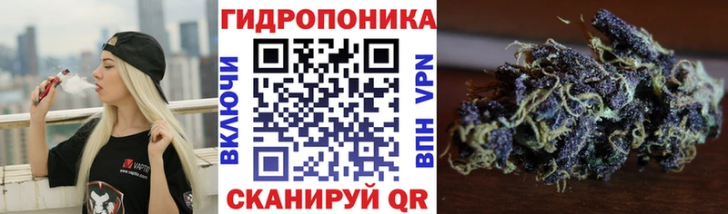 Наркотические вещества Исилькуль КОКАИН  МЕФ  Alpha PVP  Гашиш 