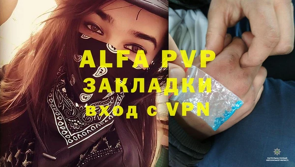ГАЛЛЮЦИНОГЕННЫЕ ГРИБЫ Заволжье