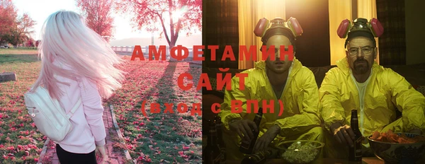 ГАЛЛЮЦИНОГЕННЫЕ ГРИБЫ Заволжье