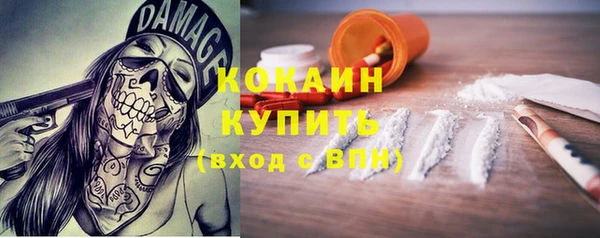 ГАЛЛЮЦИНОГЕННЫЕ ГРИБЫ Заволжье