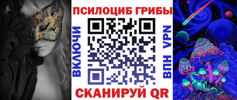 как найти закладки  Исилькуль  Галлюциногенные грибы Psilocybe 